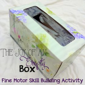 The Joy of An Empty Box – Tissue Box Fine Motor Play