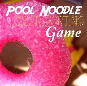 Pool Noodle Color Sorting Game