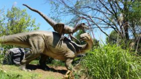 Dinosaurs Alive Carowinds Charlotte North Carolina