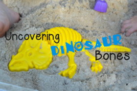 Uncovering Dinosaur Bones