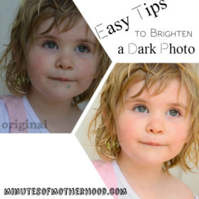Easy Tips To Brighten a Dark Photo Using Picasa