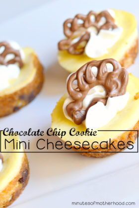 Chocolate Chip Cookie Mini Cheesecakes With Chocolate Turkeys