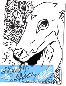 Free Printable Deer Adult Coloring Page