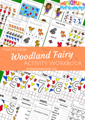Woodland Fairy Printable Activity and Worksheet Booklet