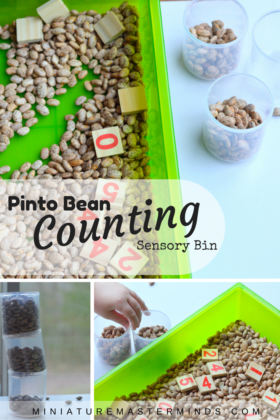 Pinto Bean Counting Sensory Bin