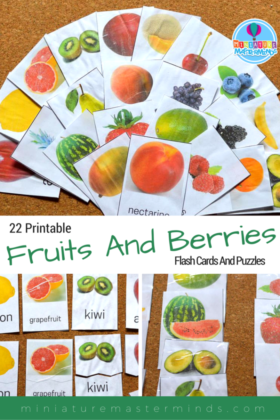Fruit And Berries Flash Cards And Puzzles