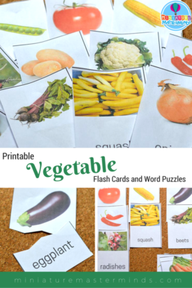 22 Printable Vegetable Flash Cards And Word Puzzles
