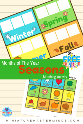 Months of The Year Preschool Season Matching Activity