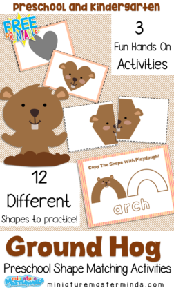 Free Printable Groundhog Shadow Shape Matching  3 Fun Hands On Preschool Activities