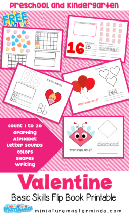 Valentine Day Preschool Basic Concept Flip Book