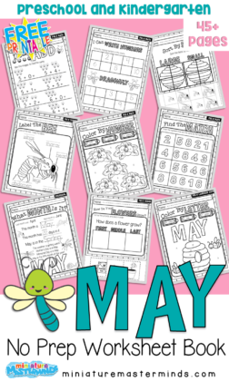 May Bugs And Flowers Preschool Educational No Prep Work Sheet Book