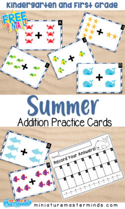 Summer Themed Addition Up to 12 Cards and Recording Page for Kindergarten