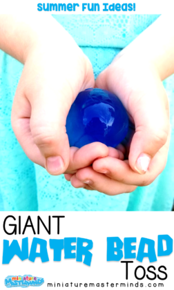 Summer Fun Giant Water Bead Toss Game