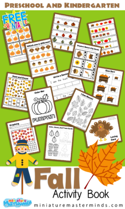 Fall Activity Book Preschool and Kindergarten