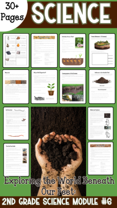 Exploring the World Beneath Our Feet: A Second-Grade Workbook on Soil