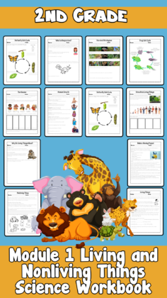 A Second-Grade Workbook on Living And Nonliving Things