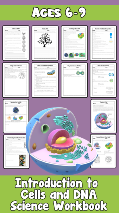 Introduction To Cells and DNA for Ages 6-8 Science Workbook